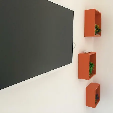 *chique Del M.verde*