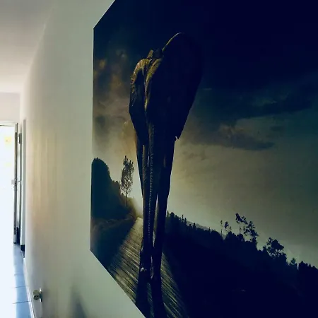 Appartement *chique Del M.verde* *